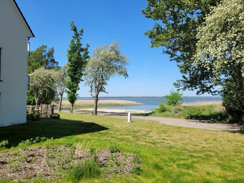 Baltic Lagoon Resort Direkt Am Meer Fuhlendorf  Dış mekan fotoğraf