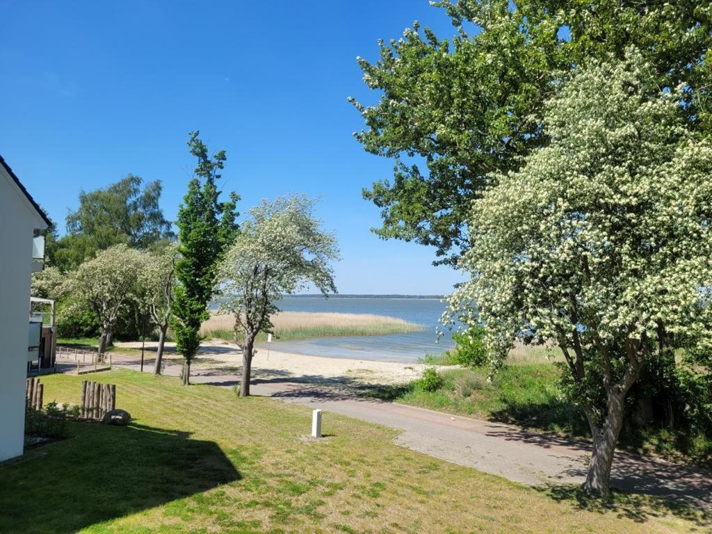 Baltic Lagoon Resort Direkt Am Meer Fuhlendorf  Dış mekan fotoğraf
